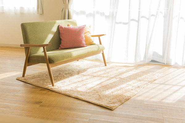 Room with sunlight spilling onto area rug